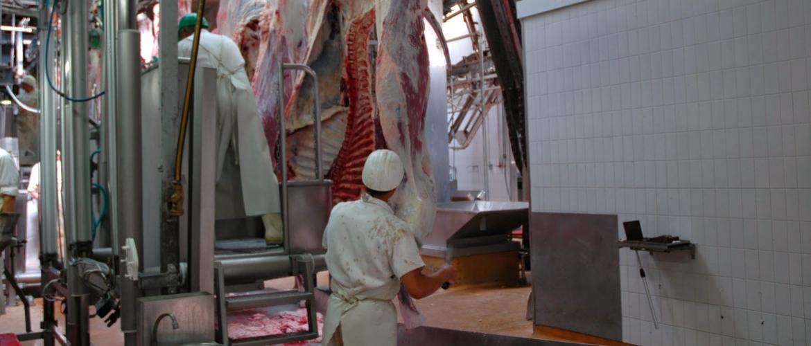 Depuis cinq ans, le volume d'activité des abattoirs régionaux est en baisse. Crédit photo : A.Coronel, pour perdre 8 % de leur activité par rapport à 2018