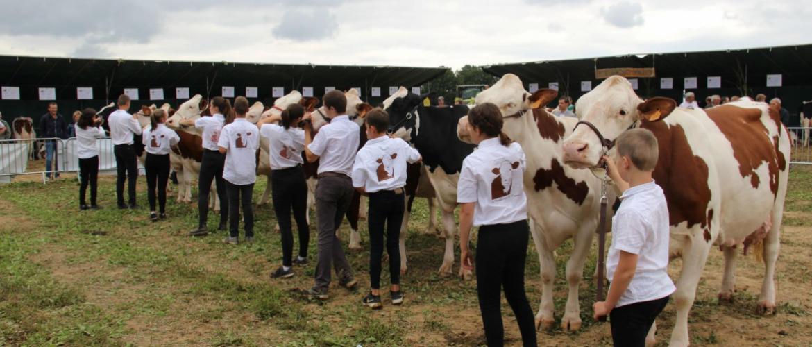 Moments de convivialité et d’émotion partagés entre éleveurs, les comices sont aussi un lieu de transmission de la passion de l’élevage... Crédit photo : A.Coronel