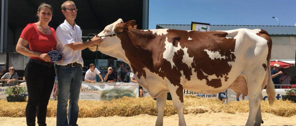 Lors de la fête de l'élevage 2018, la championne adulte était Gentiane (Unchoix sur Masolino) de l’Earl du Tillon à Mollans.