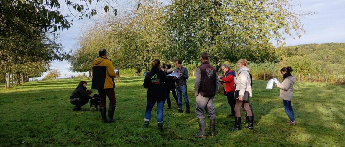 Un jury pluridisciplinaire a évalué les pratiques pour départager les candidats de ces concours d'excellence agro-écologique. Crédit photo : CA70