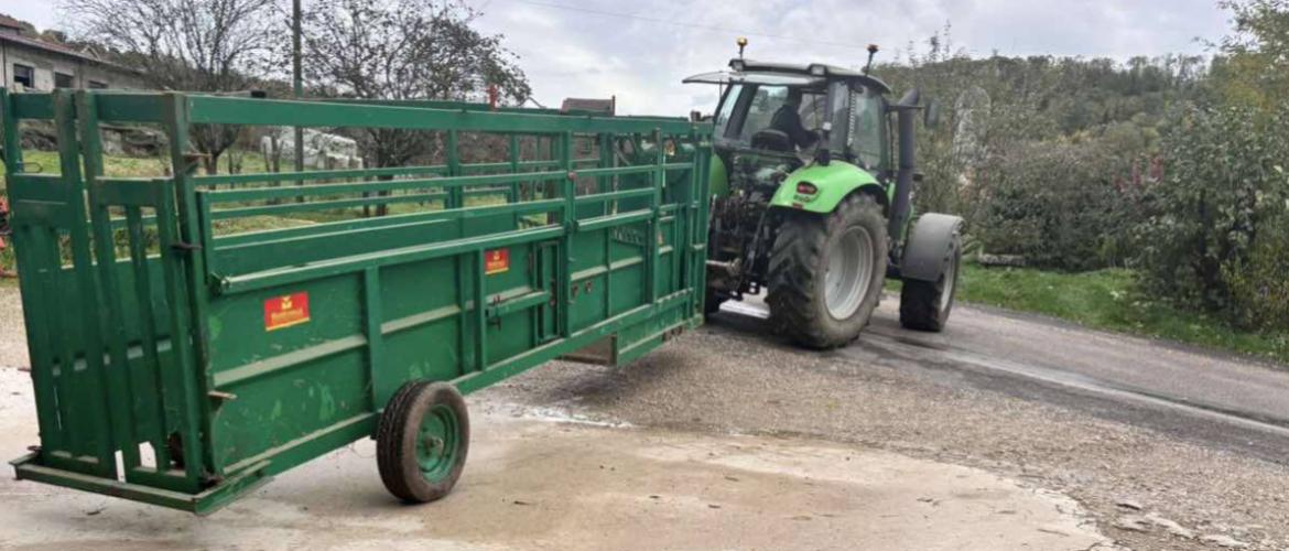 Le déploiement de couloirs de contention mis à disposition par des collègues ou des structures a permis d'organiser efficacement les chantiers de vaccination. Crédit photo : ferme des Auches.