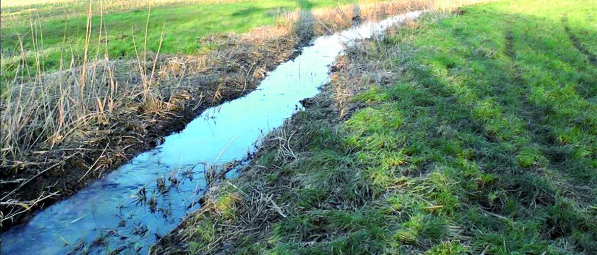 "L’entretien des cours d’eau fait partie de la bonne gestion de notre patrimoine", déclare Hervé Lapie. 