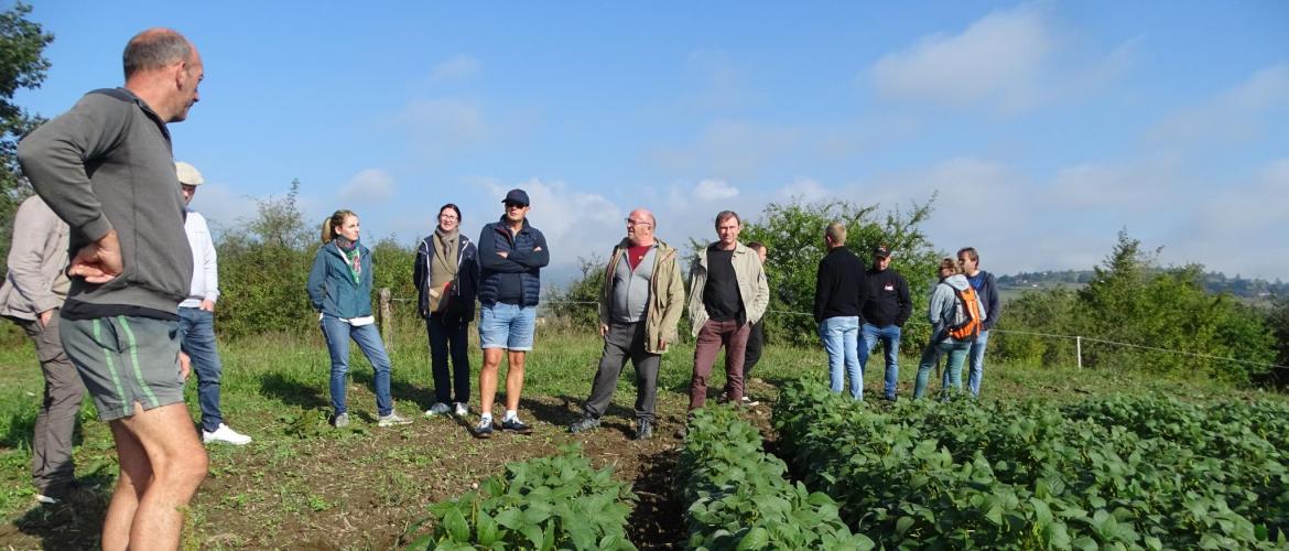 Le soja est une protéagineuse qui présente des intérêts agronomiques et zootechniques.