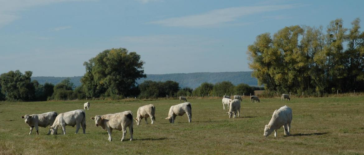 Télécalam sera ouvert du 15 mars au 30 avril 2021 inclus. Photo : DR