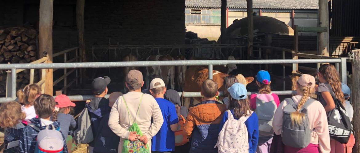 Thomas Humbert a reçu sur sa ferme les enfants des écoles primaires de Vellorcey et La Villedieu. Crédit photo : Paul Leuvrey