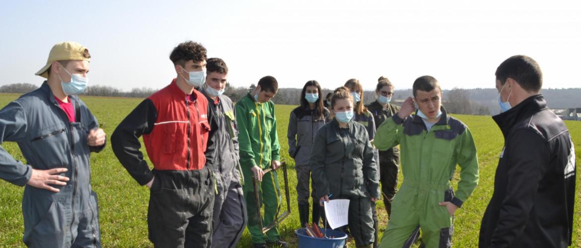 L’exploitation agricole de Vesoul Agrocampus accueille de nombreuses expérimentations agronomiques et zootechniques, telles que le pâturage ovin des colzas en sortie d’hiver.