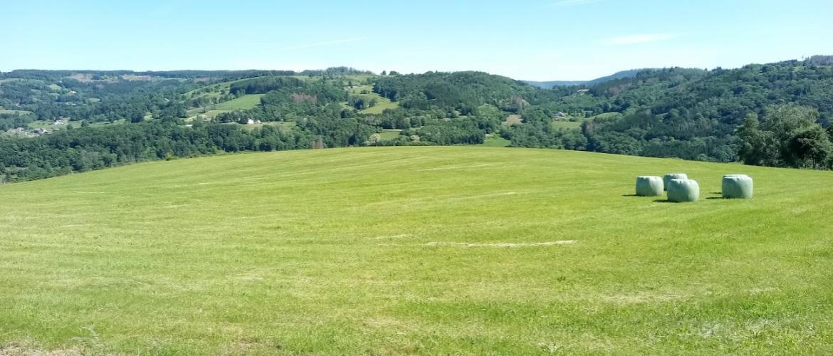 Avec une balance précise au gramme et un four à micro-ondes, il est possible d'estimer la teneur en matière sèche d'un fourrage. Crédit photo : A.Coronel