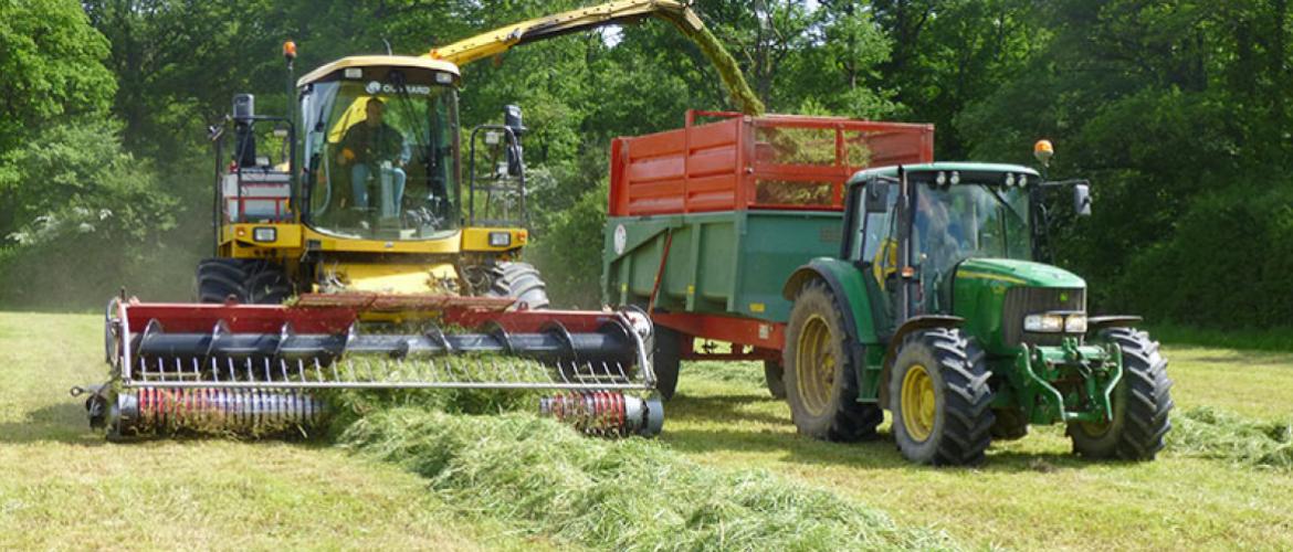 Un ensilage d'herbe réussi permet de substancielles économies de concentré. Crédit photo : AC