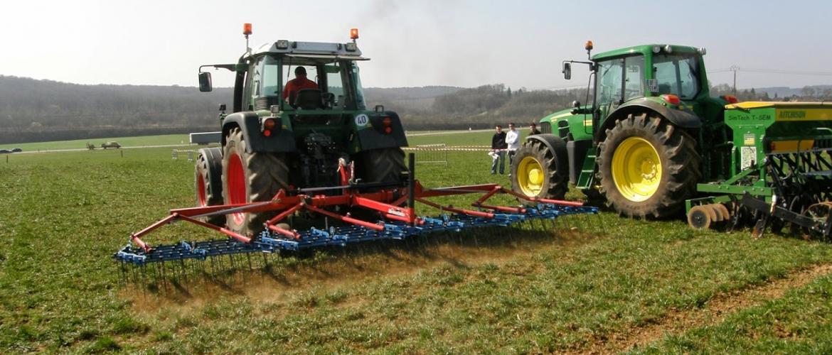 Le début d'automne est une période favorable à l'implantation de prairie, à condition de ne pas trop tarder. Crédit photo : AC