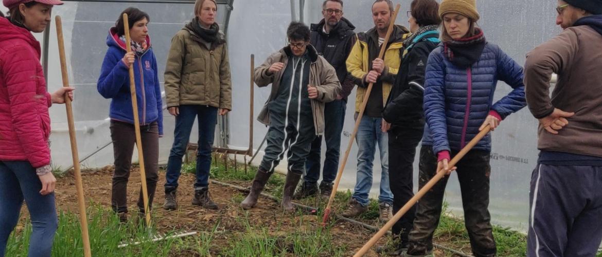 Gestes répétitifs, travail en posture basse, manutention... le corps des maraîchers est soumis à rude épreuve ! D'où l'intérêt d'apprendre à le ménager... Crédit photo : Paul Voirgard (CA70)