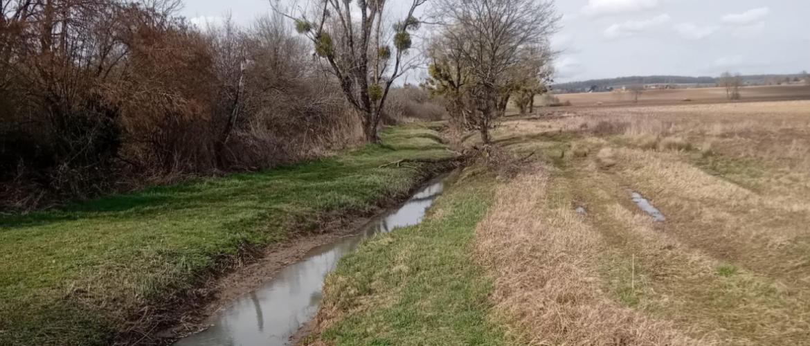 « Entretien des fossés : il faut agir ! » : c'est l'objet de la missive adressée aux élus du département par Emmanuel Aebischer et Louis Wicky. Crédit photo : Matthis Gazillot
