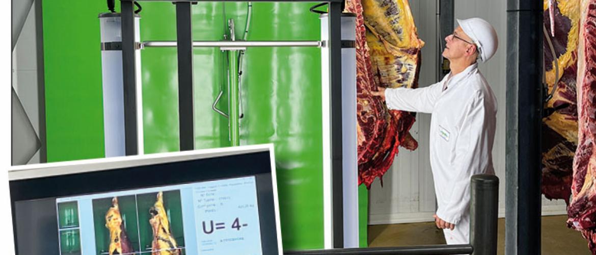 Après un passage de la carcasse devant la caméra, l’intelligence artificielle de la machine à classer s’appuie sur une base de données de 65.000 photos pour établir une proposition de classement. Photo YD
