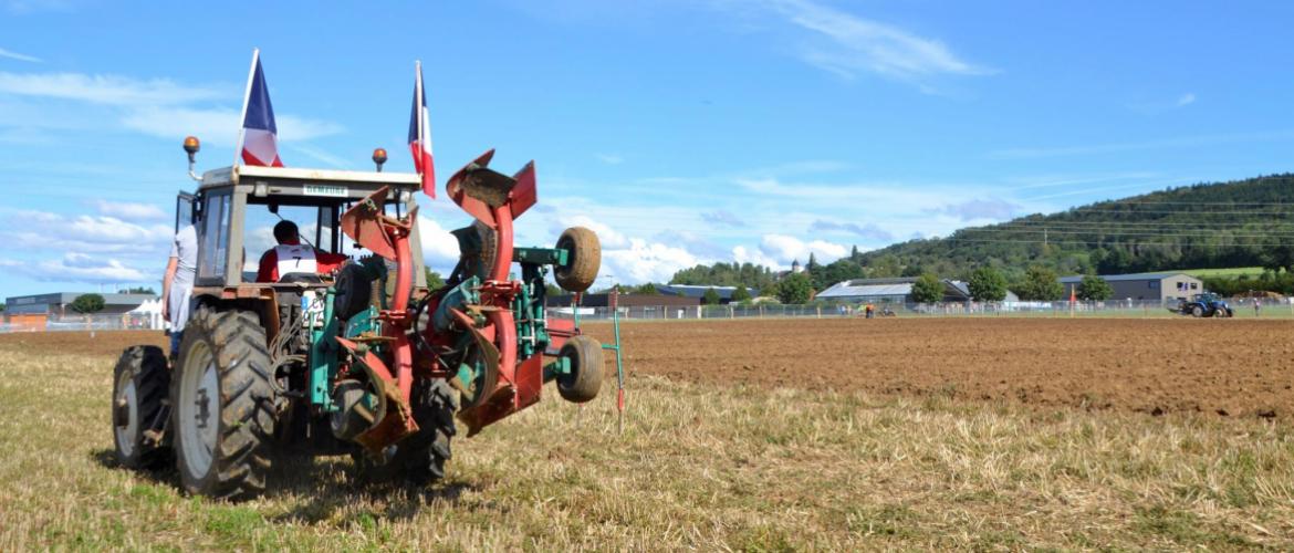 Terres de Jade, la finale régionale des labours, a lieu cette année à Andelnans, dans le Territoire de Belfort. Crédit photo : AC
