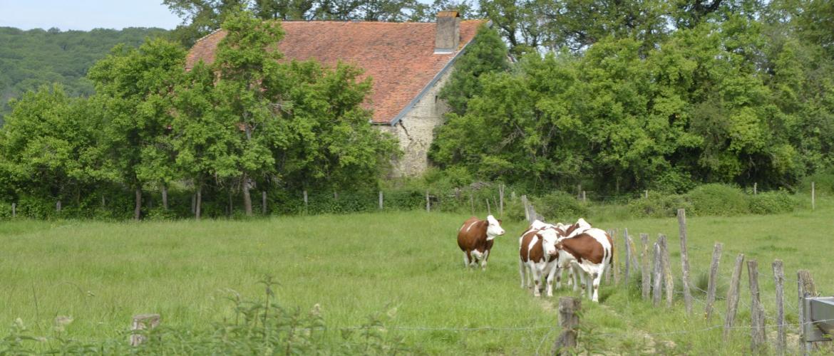 La Maec "Autonomie alimentaire" est désormais ouverte aux agriculteurs bio. Crédit photo : A.Coronel