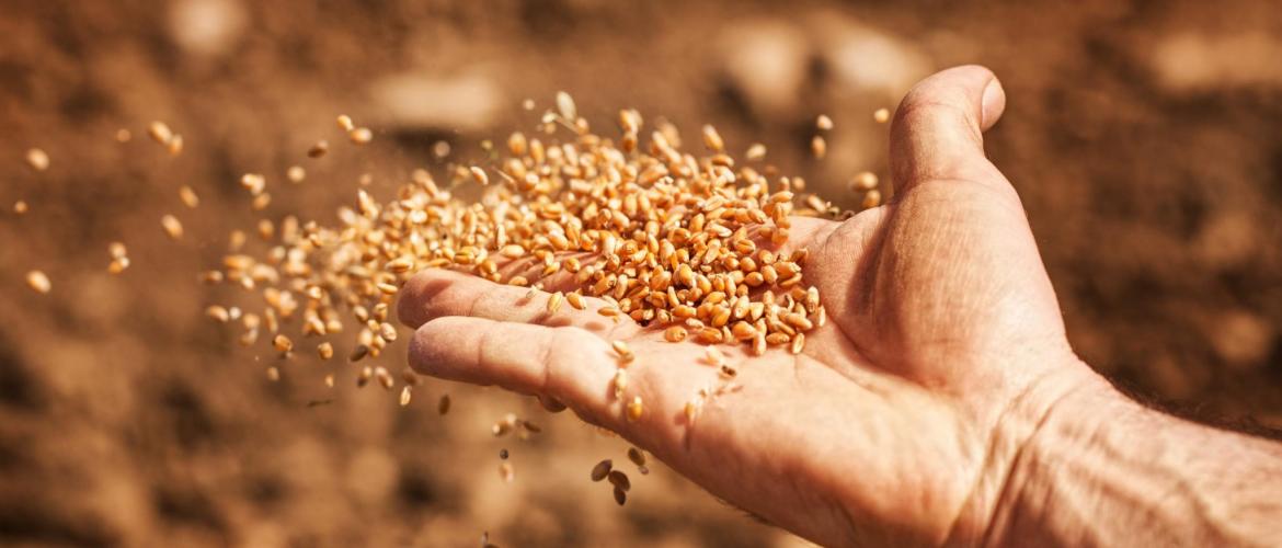 L'Assemblée générale du GAB sera l'occasion de revenir sur les rencontres internationales Semences.