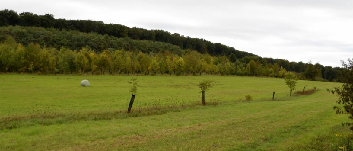 La session a aussi été l’occasion de faire le point sur nombre de dossiers accompagnés par la chambre d’agriculture, tels que la plantation de haies.