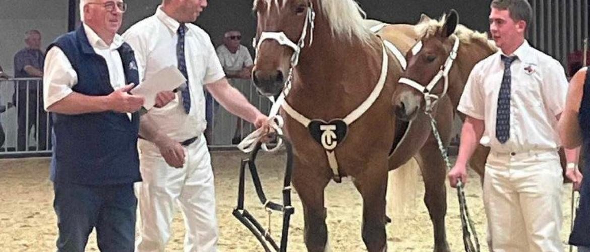 Hibino, championne de la foire comtoise avec Origine de Mersuay. Crédit photo : DR