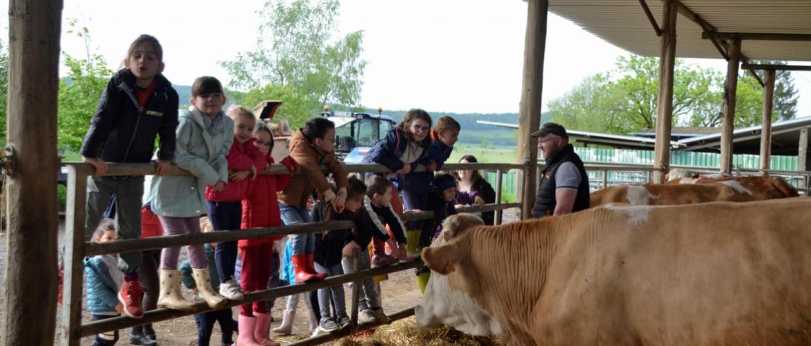 Chez Thomas Humbert, un échange à bâtons rompus sur la conduite du troupeau : litière, traite, pâturage... les enfants veulent tout savoir ! Crédit photo : A.Coronel