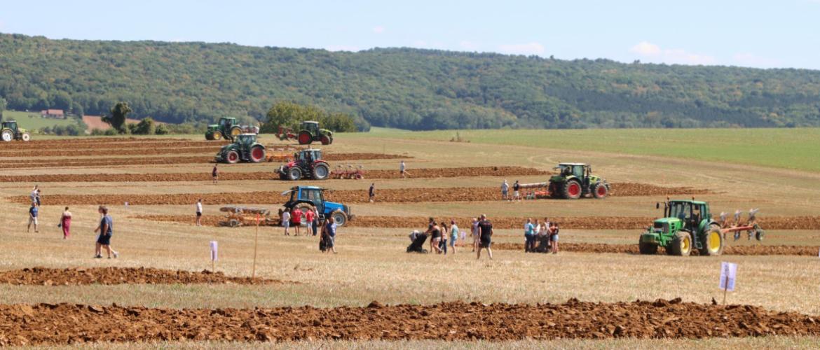 Les participants à la finale des labours ont bénéficié de très bonnes conditions à Boursières. Crédit photo : Stéphane Decaudin