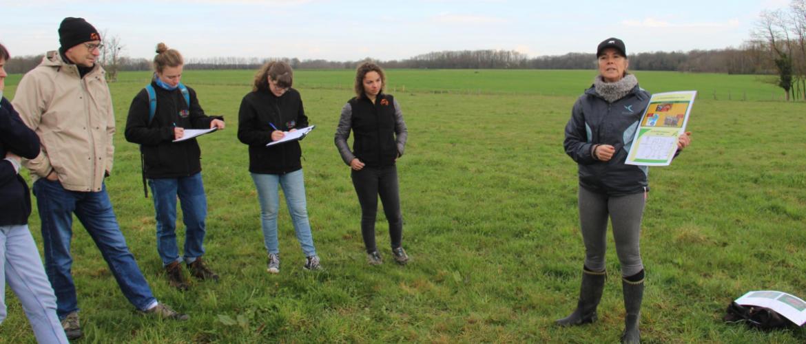Les participants à la journée "herbe" du 25 mars ont observé la flore et le profil cultural pour mieux comprendre les dysfonctionnements de la prairie. Crédit photo : A.Coronel