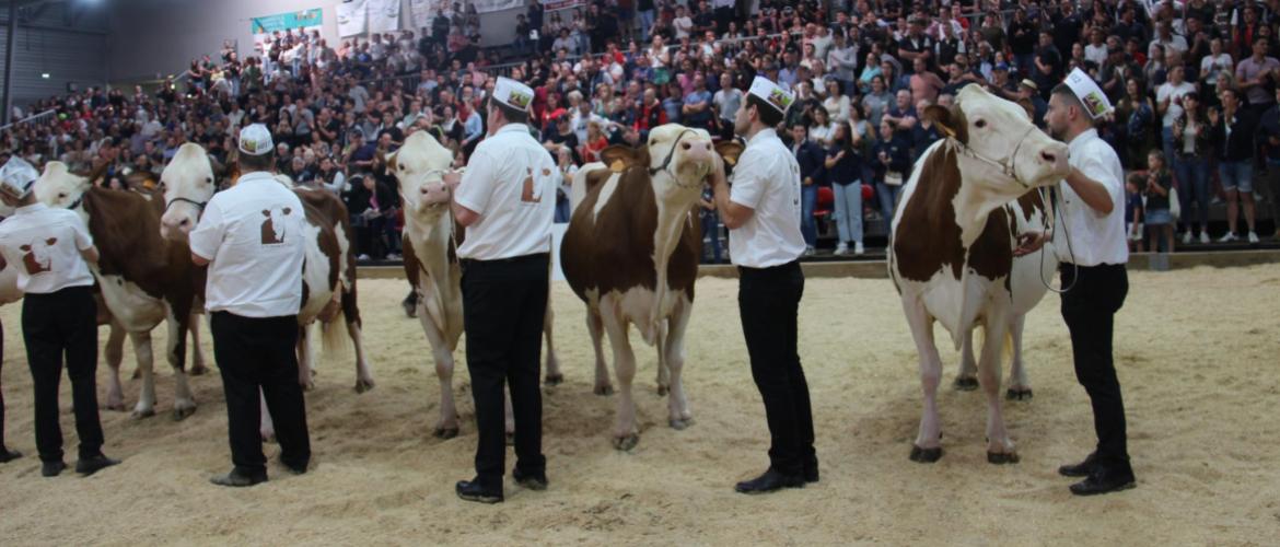 Dans le contexte d'incertitude sanitaire actuel, les rassemblements d'animaux tels que les concours sont compromis. Crédit photo : AC