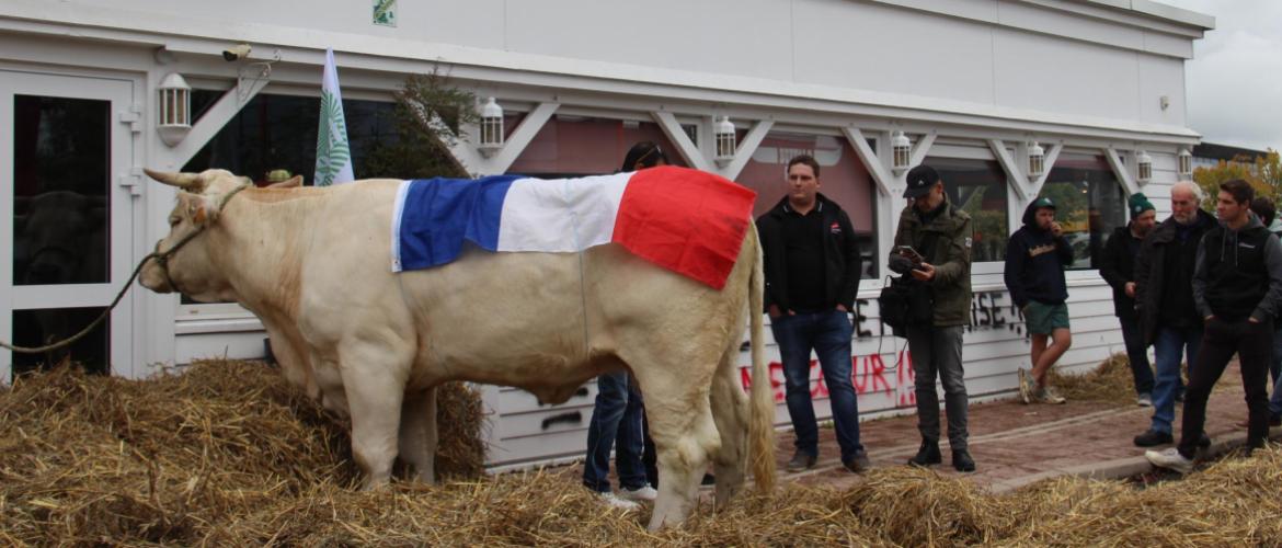 Arnaud Grandidier, président de la FDSEA et Louis Wicky, président des JA, ont expliqué au directeur du Buffalo Grill les motifs de leur désaroi. Crédit photo : A.Coronel