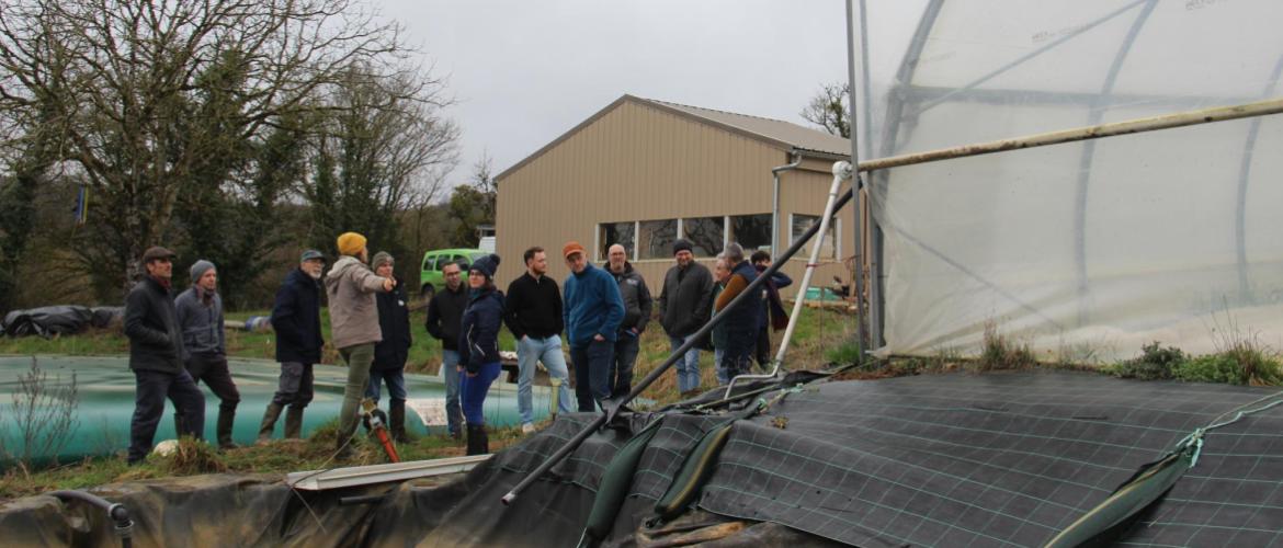 Charline Noirot a mobilisé à son insu les principes du keyline design en aménageant ses serres maraîchères. Crédit photo : AC