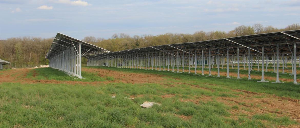 Certaines tables photo-voltaïques ont été équipées de chéneaux, de manière à collecter les eaux de pluies pour l'abreuvement des génisses. Crédit photo : A.Coronel