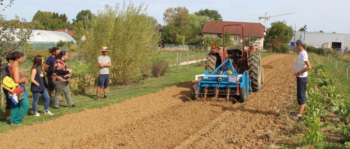 Démonstration d'un "rouleau traceur", qui marque dans la bande travaillée les emplacements réguliers de plantation des plantes maraîchères. Crédit photo : A.Coronel