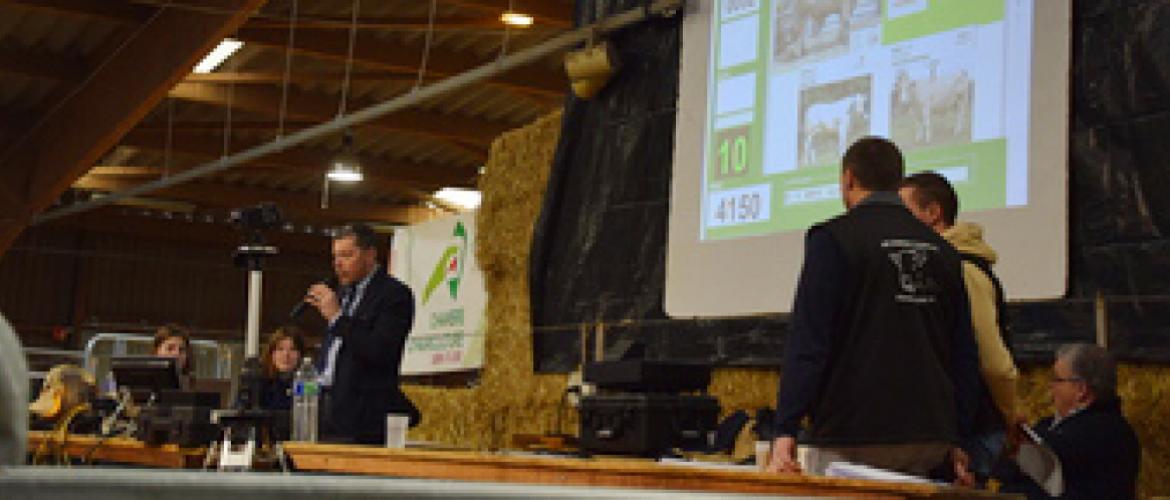 À Charolles, la vente aux enchères de la station de Jalogny reste un moment privilégié, mais la possibilité d’enchérir en ligne donne accès à des acheteurs qui ne pourraient pas faire le déplacement et offre une solution en cas d’imprévu.