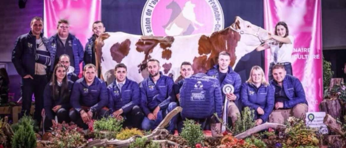 Les membres du bureau de l'Ajem 25 ont décidé d'annuler le show open génisses prévu à l'Axone. Crédit photo : S.Vivot/TCN