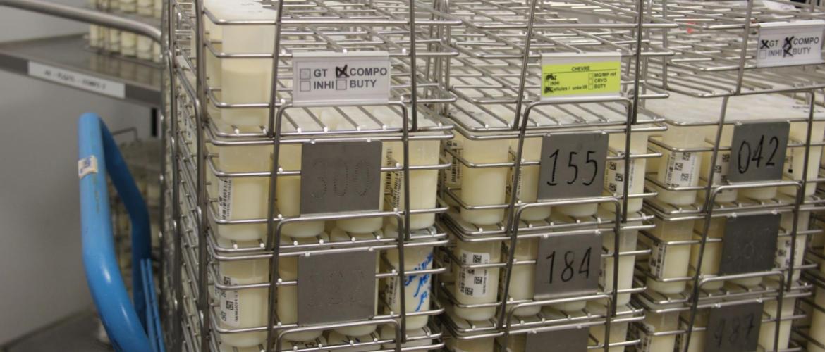 les analyses du lait pour son paiement à la qualité restent le coeur de métier du laboratoire interprofessionnel de Rioz, qui a néanmoins beaucoup diversifié ses activités. Crédit photo : A.Coronel les analyses du lait pour son paiement à la qualité restent le coeur de métier du laboratoire interprofessionnel de Rioz, qui a néanmoins beaucoup diversifié ses activités. Crédit photo : A.Coronel