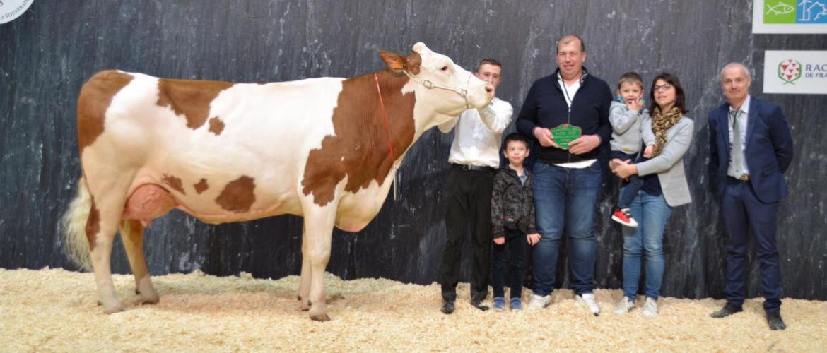 Lili (Hélas jb sur Vigor jb) du GAEC Buchin à Alieze est championne adulte du concours général agri-cole en race montbéliarde. Crédit photo : A.Coronel