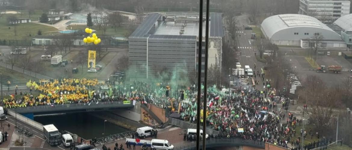 Devant le parlement européen à Strasbourg, les agriculteurs ont exprimé leur refus du traité commercial avec le Mercosur, qui ouvrirait l'UE à une concurrence agricole déloyale.