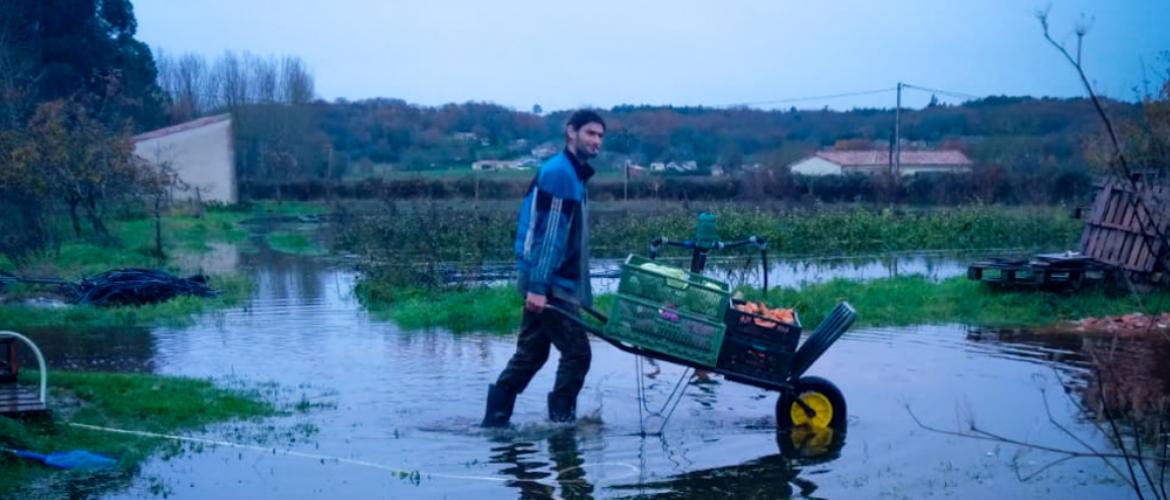 Face au risque accru d'aléa climatique, la biodiversité variétale peut être un levier de résilience. Crédit photo : AgroBio Périgord