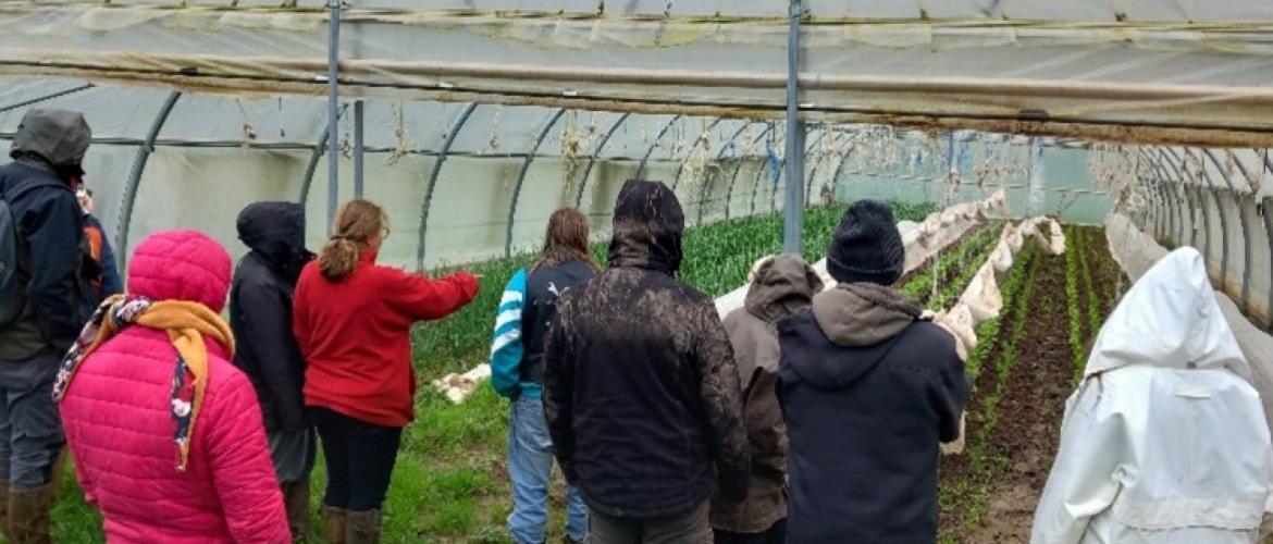 Les productions maraîchères subissent de plein fouet les aléas climatiques. Crédit photo : Paul Voirgard (CA70)