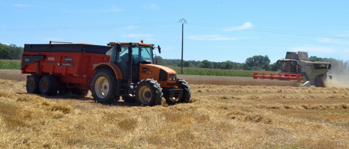 Crédit photo : A.Coronel. L’incertitude vis-à-vis des prix de vente doit être de plus en plus intégrée dans les stratégies d’exploitation.