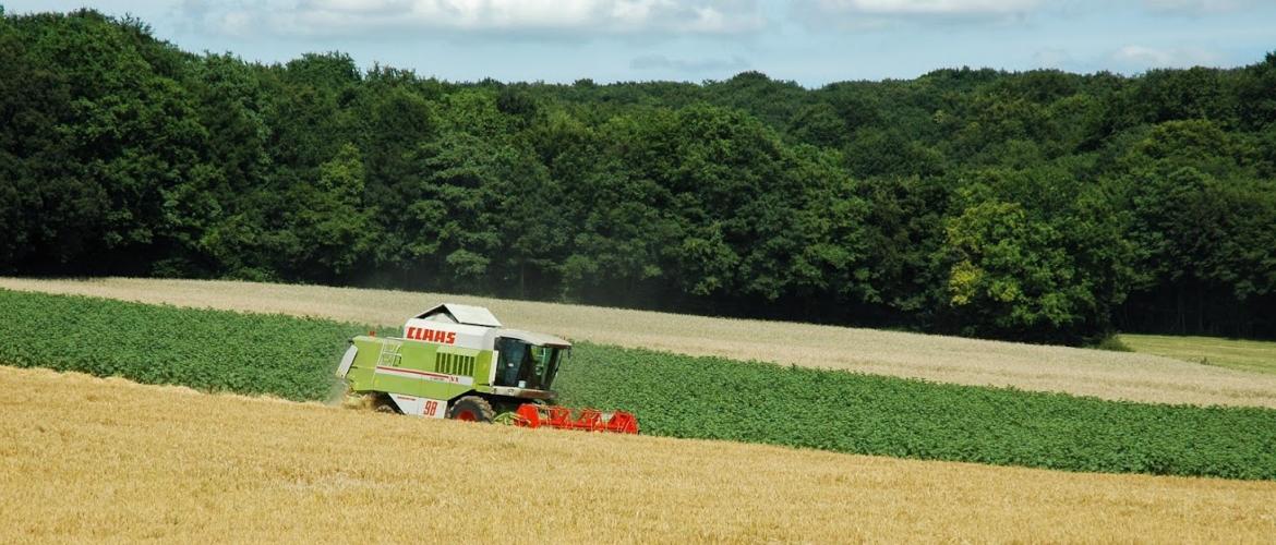 En Franche-Comté, les moissons des orges d’hiver ont commencé dans de très bonnes conditions météo, chaudes et sèches, mais avec des nuits relativement fraîches.
