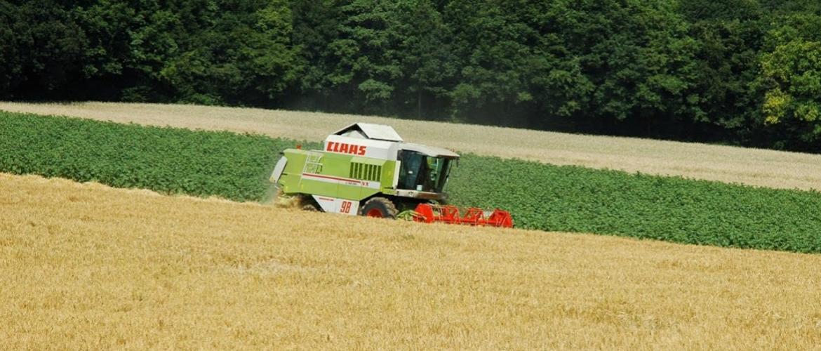 Les moissons de l'année 2025 sont parmi les plus abondantes des 20 dernières années. Crédit photo : A.Coronel