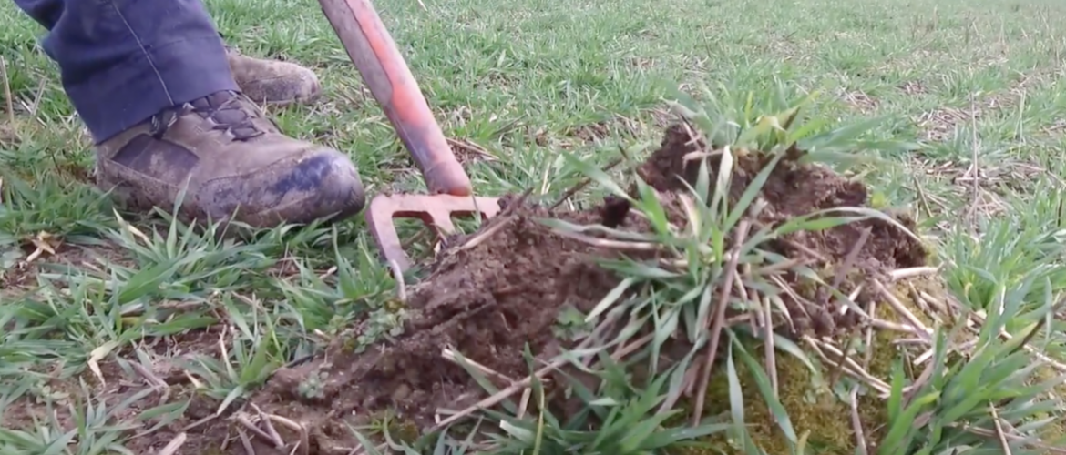 Légende photo : Depuis une décennie qu'ils existent, les GIEE ont permis de faire avancer, de manière collective, la réflexion des agriculteurs sur de nombreux aspects de leurs pratiques.