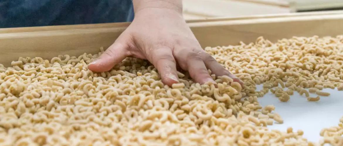 Marlène Philibeaux - alias Madame Coquillette - valorise  le blé dur sous forme de pâtes..