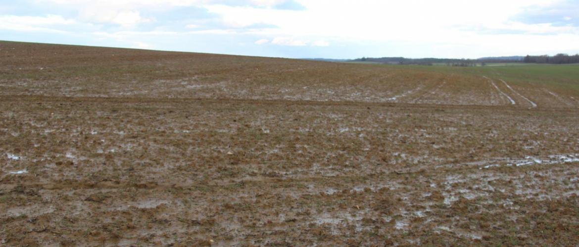 Les conditions météorologiques très pluvieuses contraignent à différer les opérations culturales. Crédit photo : A.Coronel/HSA