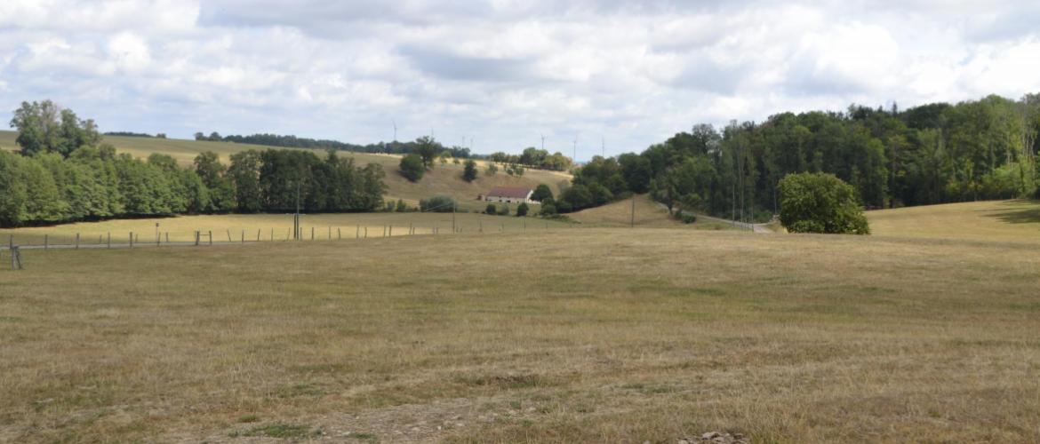 L'épisode caniculaire, associé à la sécheresse, a provoqué l'arrêt de la pousse de l'herbe. Crédit photo : AC