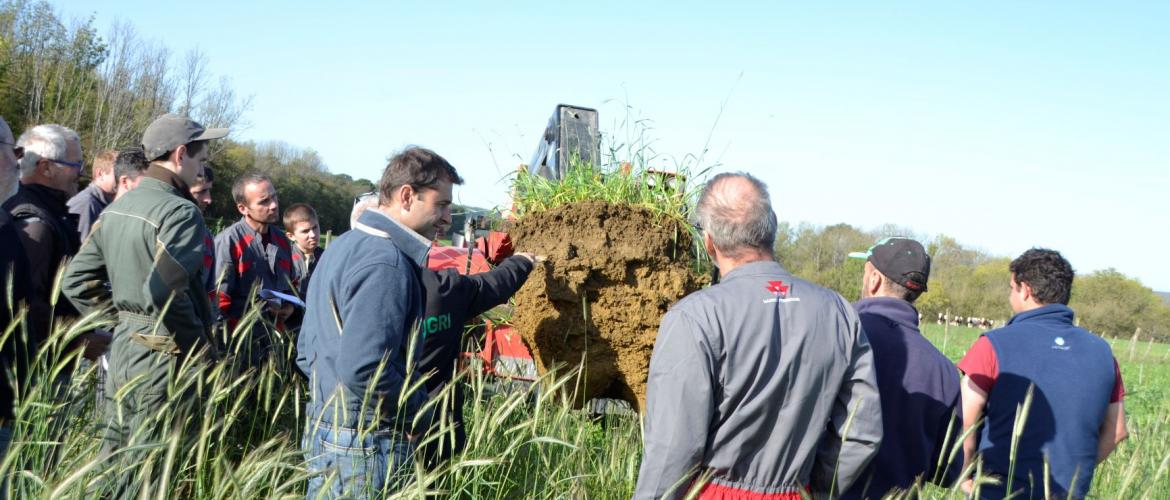 La fertilité des sols et la remédiation aux problèmes de tassement sont au menu de cette demi-journée technique. Crédit photo : A.Coronel