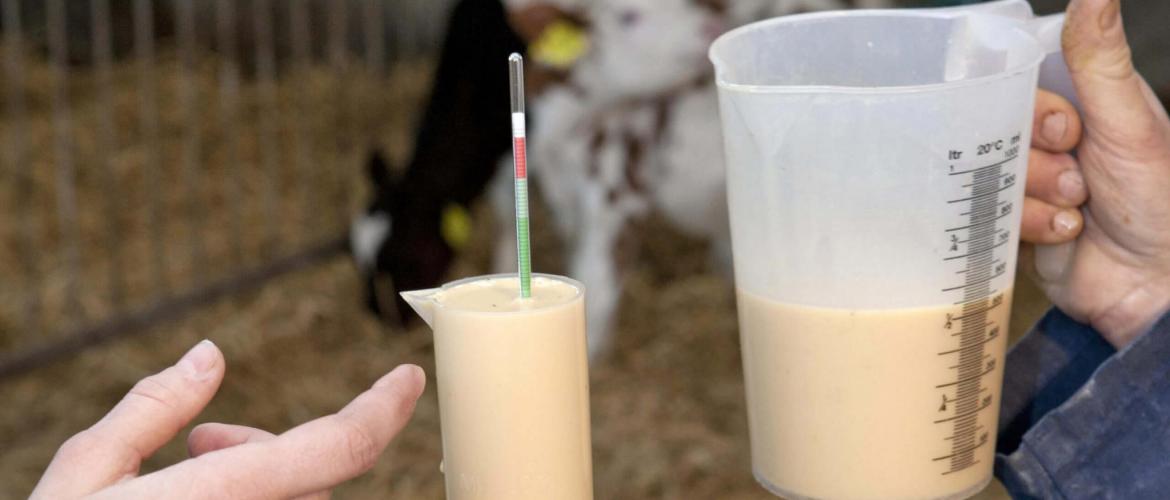 La teneur en immuno-globulines du colostrum peut-être évaluée simplement en mesurant la densité, via un pèse-colustrum ou un réfractomètre brix.