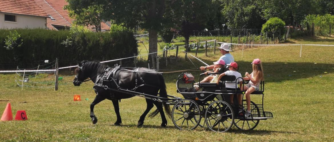 Le syndicat des éleveurs de chevaux comtois propose deux calèches à la vente...