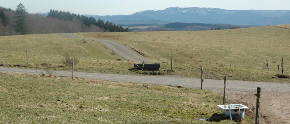 Le seuil des 200°C cumulés est un bon indicateur pour déclencher la fertilisation azotée prairiale. Crédit photo : Alexandre Coronel