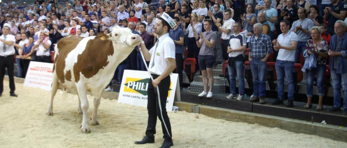 L'an dernier c'est le juge haut-saônois Gaétan Laprevote qui avait jugé le Montbéliard Prestige. Crédit photo : A.Coronel