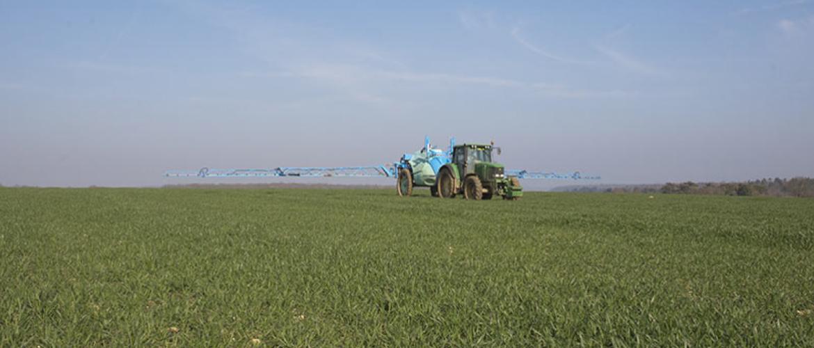 L'hygrométrie de l'air est le principal paramètre qui conditionne l'efficacité des produits systémiques, qui doivent franchir la barrière de la cuticule des plantes cibles. Crédit photo : AC