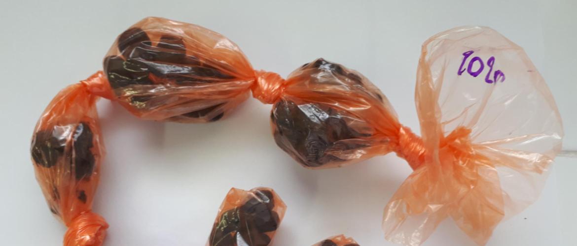 Des coproscopies pour traiter à bon escient. Crédit photo : CIIRPO
